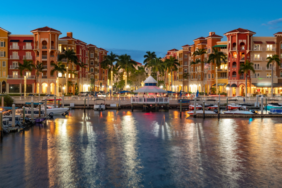 Palm-lined neighborhood street in Naples, Florida